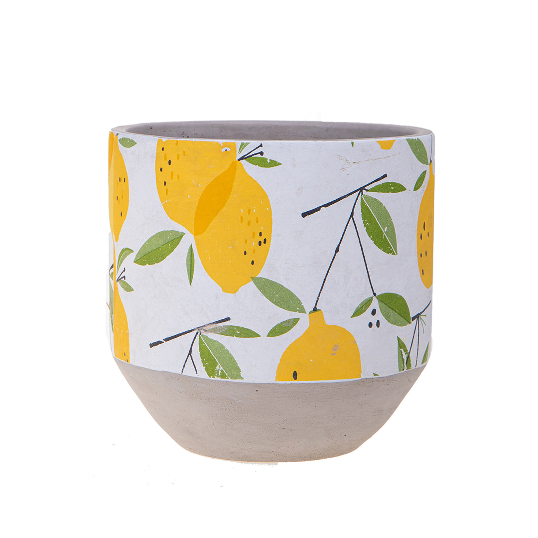 Cachepot con limoni • 17 cm