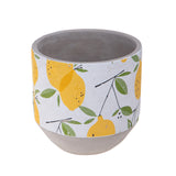 Cachepot con limoni • 17 cm