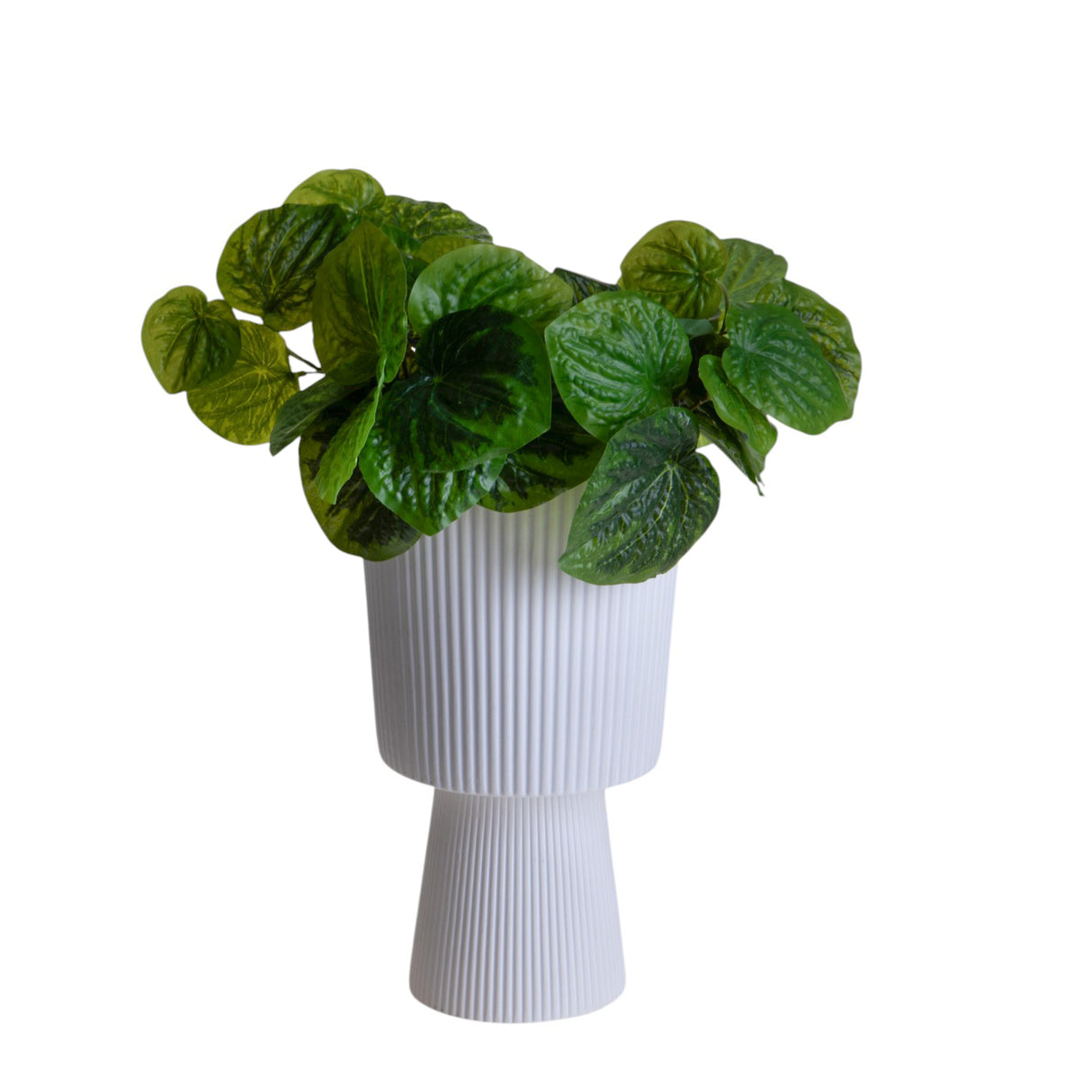 2 Pezzi • Vaso con base • 25 cm