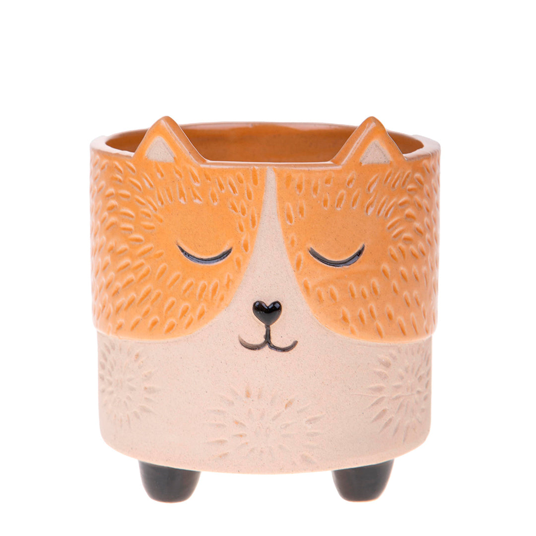 Vaso muso gatto • 13 cm