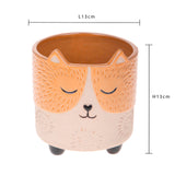 Vaso muso gatto • 13 cm