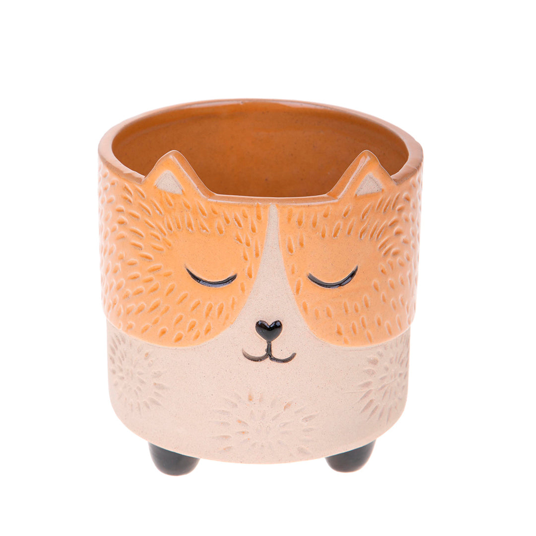 Vaso muso gatto • 13 cm