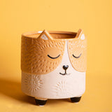 Vaso muso gatto • 13 cm