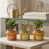 Set 3 Cachepot Marmellata • 11 cm