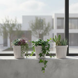 2 Pezzi • Set 3cachepot • 13 cm