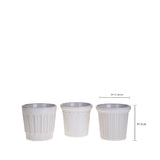 2 Pezzi • Set 3cachepot • 13 cm