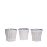 2 Pezzi • Set 3cachepot • 13 cm
