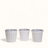 2 Pezzi • Set 3cachepot • 13 cm