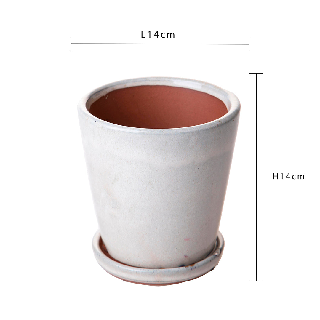 Vaso orchidea • 14 cm