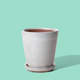 Vaso orchidea • 14 cm