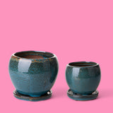Set 2 cachepot bicolore • 14 cm