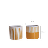 3 Pezzi • Set 2 vasi • 11 cm