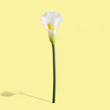 8 Pezzi • Fiore di calla singola artificiale • 69 cm