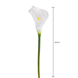 4 Pezzi • Fiore di calla semi aperta artificiale • 66 cm