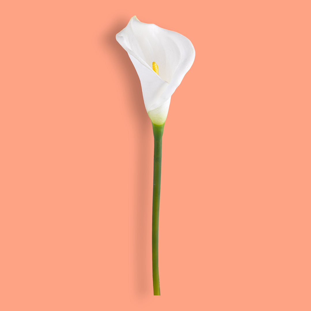 4 Pezzi • Fiore di calla semi aperta artificiale • 66 cm