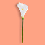 8 Pezzi • Fiore di calla semi aperta artificiale • 66 cm