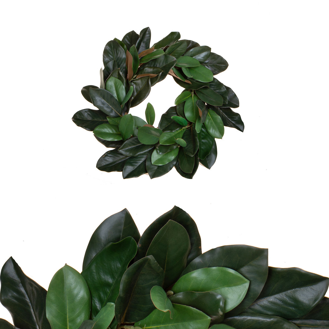 Corona con Magnolia  • 10 cm