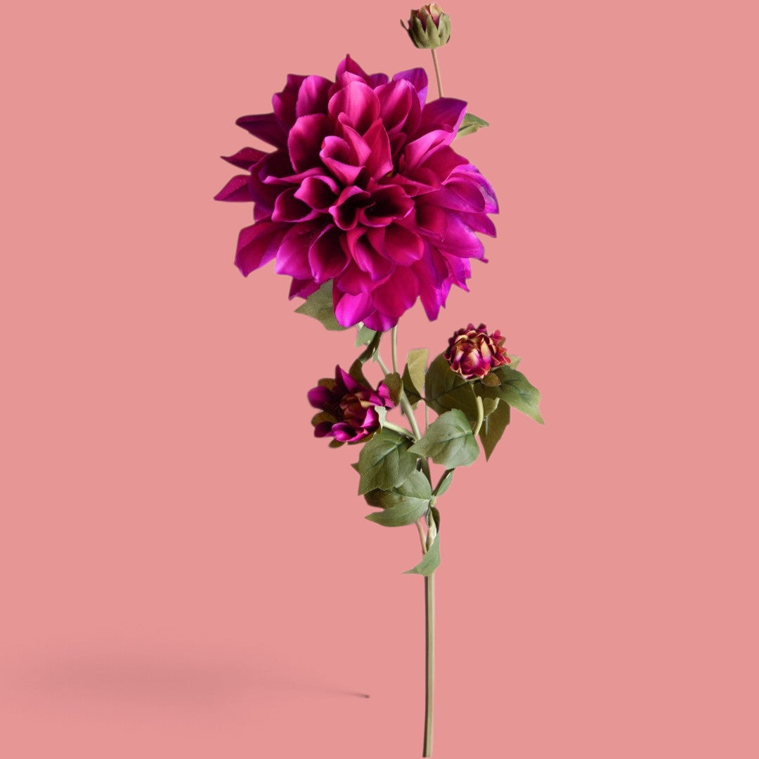 4 Pezzi • Dalia In Fiore • 80 cm