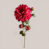 Dalia In Fiore • 80 cm