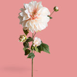 4 Pezzi • Dalia In Fiore • 80 cm