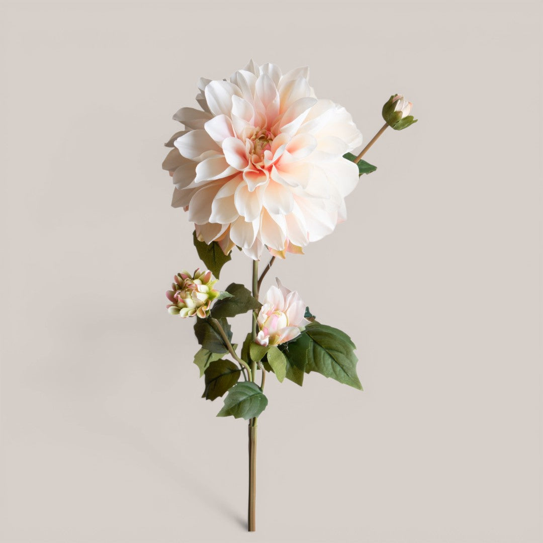 Dalia In Fiore • 80 cm