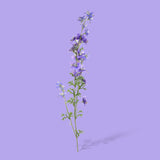 2 Pezzi • Ramo di delphinium artificiale 3 fiori • 93 cm