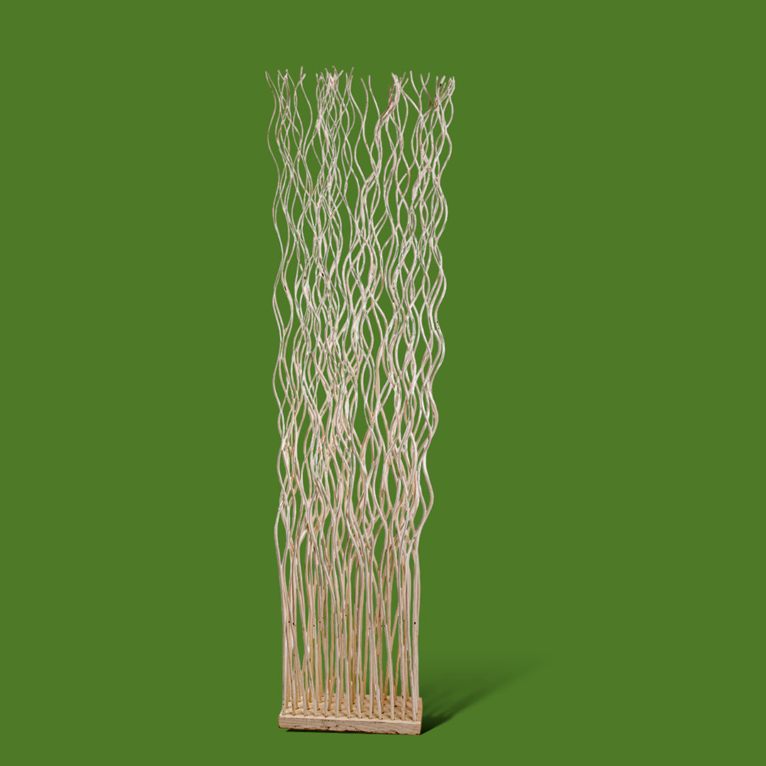 Parete willow • 175 cm