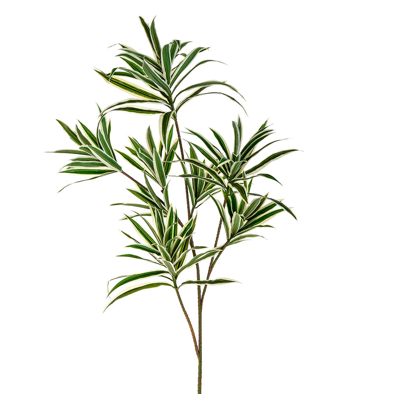 3 Pezzi • Dracena con 141 foglie artificiale •  84 cm