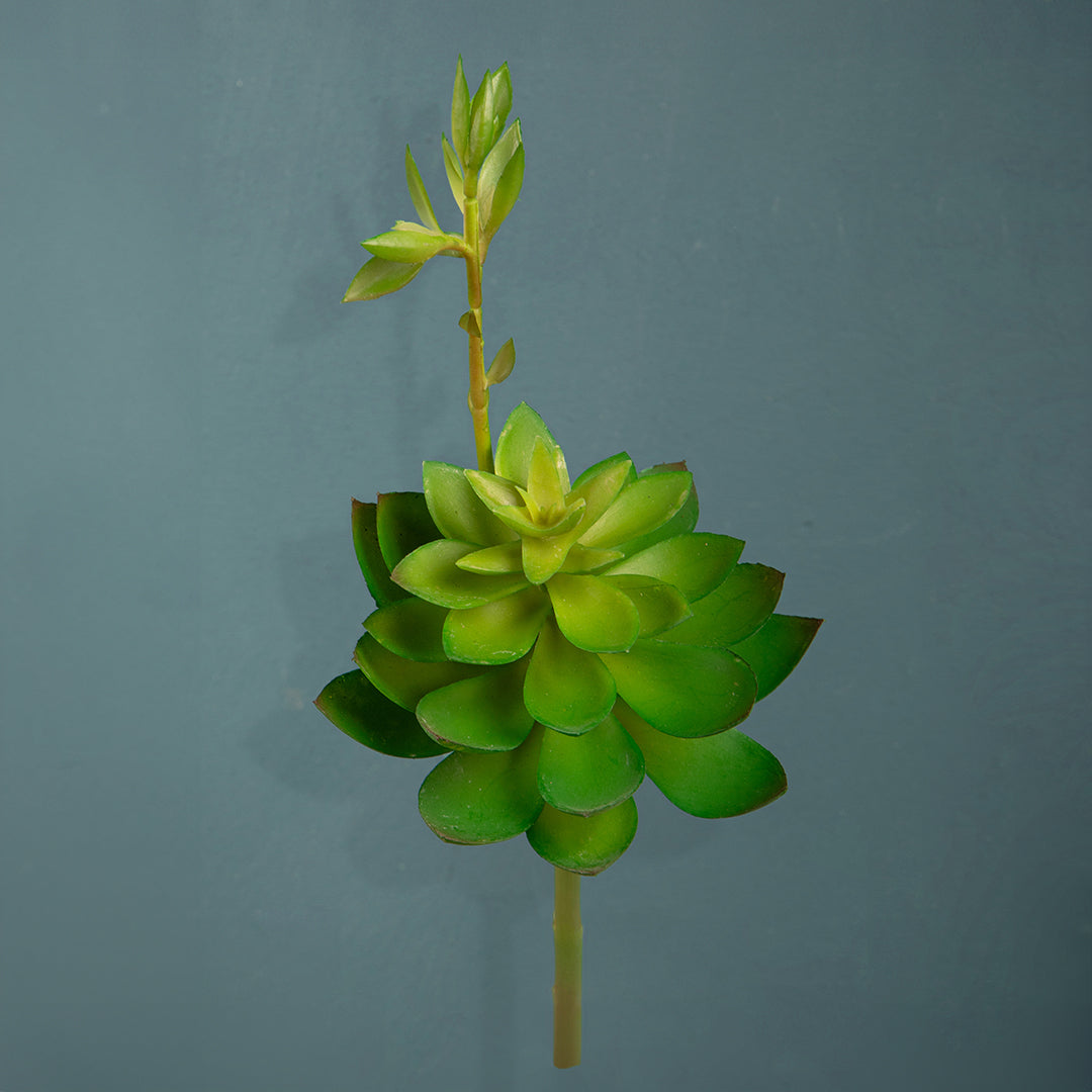 6 Pezzi • Echeveria cactus artificiale •  21 cm