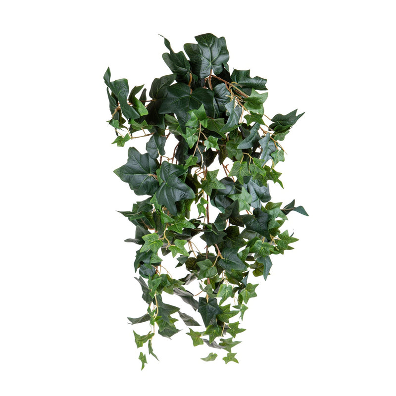 Edera verde per 178 foglie • 78 cm