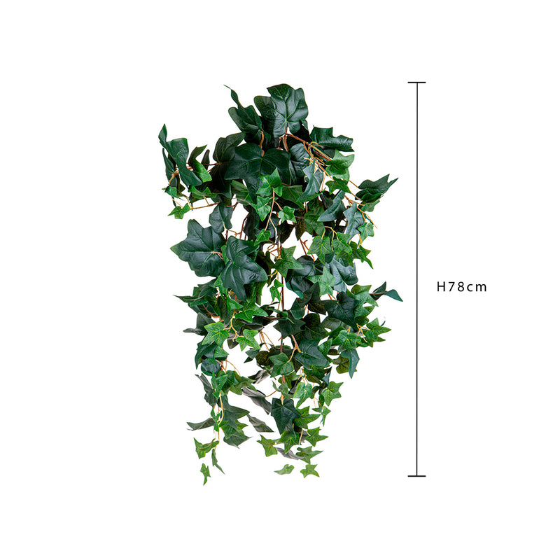 Edera verde per 178 foglie • 78 cm