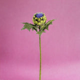 Carciofo in fiore artificiale • 62 cm