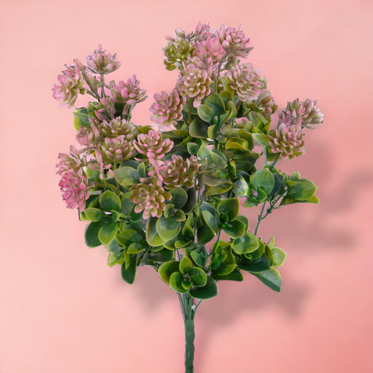 Pianta Succulent artificiale • 50 cm