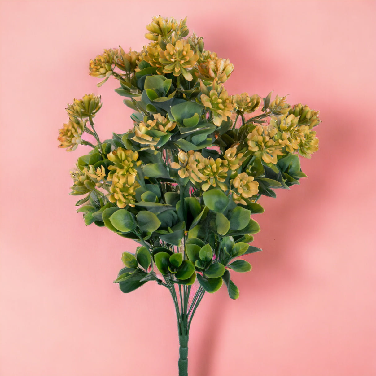 Pianta Succulent artificiale • 50 cm