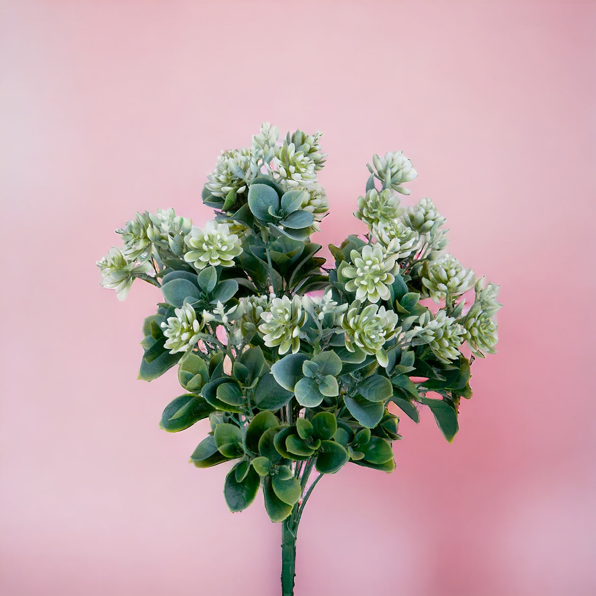 Pianta Succulent artificiale • 50 cm