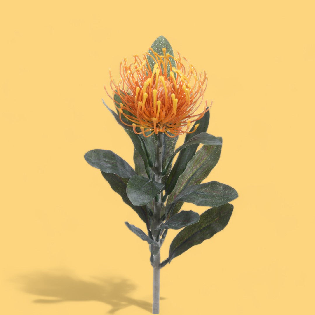 8 Pezzi • Fiore di protea artificiale 14 foglie • 67 cm