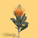 8 Pezzi • Fiore di protea artificiale 14 foglie • 67 cm