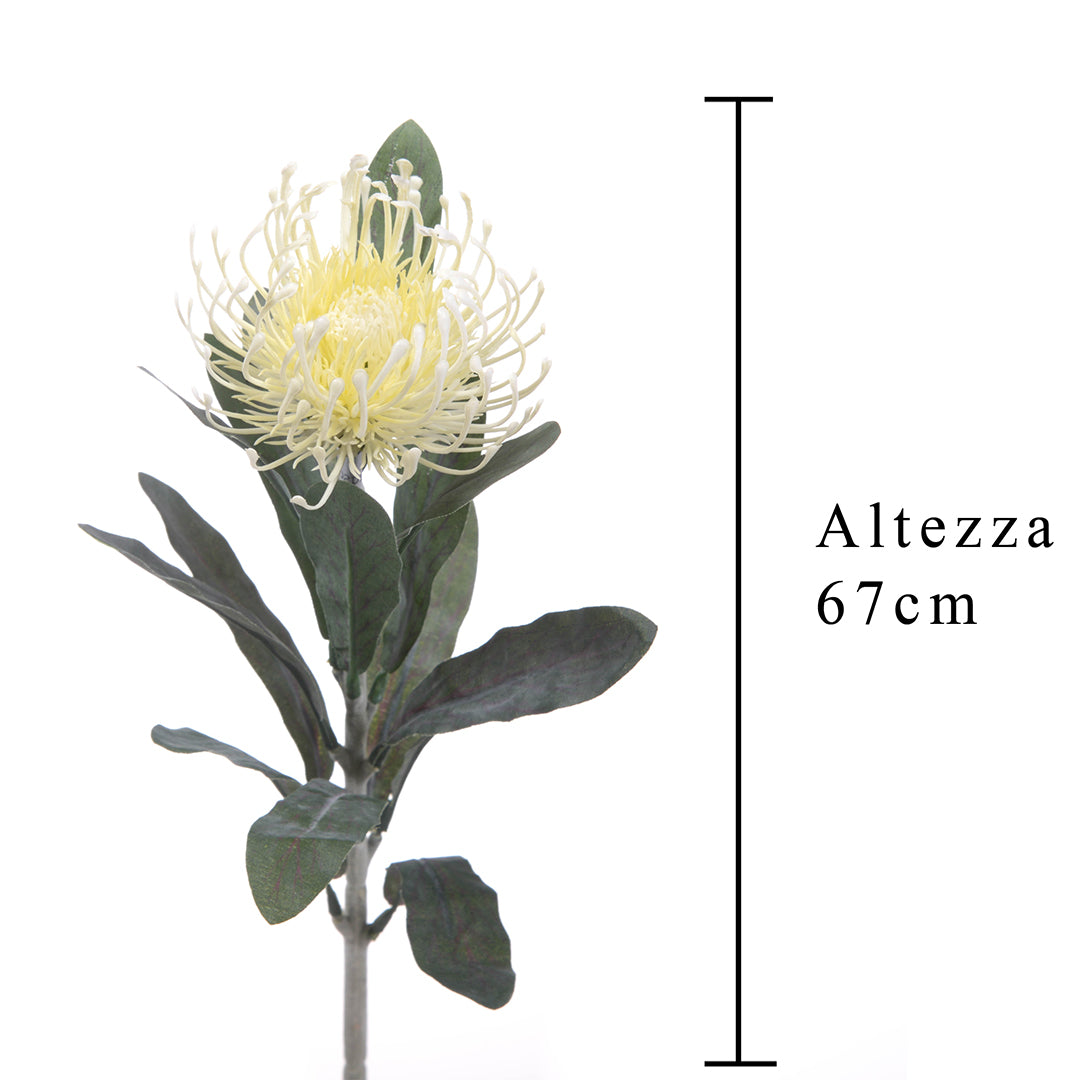 4 Pezzi • Fiore di protea artificiale 14 foglie • 67 cm