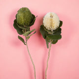 2 Pezzi • Banksia artificiale con 9 Foglie • 59 cm