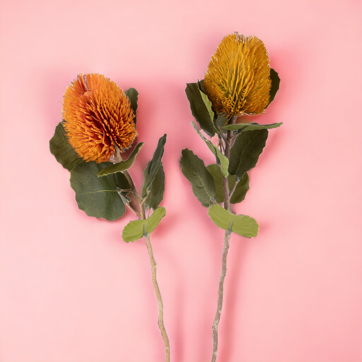 2 Pezzi • Banksia artificiale con 9 Foglie • 59 cm