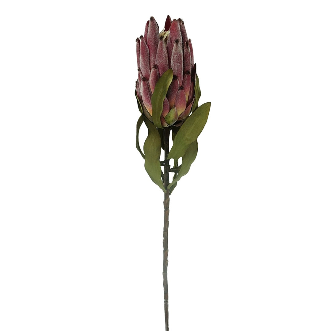 2 Pezzi • Protea artificiale • 62 cm