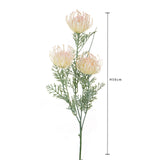 2 Pezzi • Protea artificiale australiana per 3 fiori • 56 cm