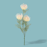 2 Pezzi • Protea artificiale australiana per 3 fiori • 56 cm