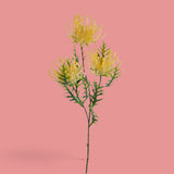 12 Pezzi • Protea per 3 fiori • 61 cm