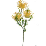 Protea per 3 fiori • 61 cm