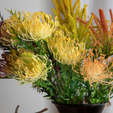Protea per 3 fiori • 61 cm