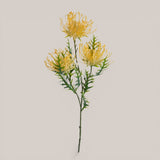Protea per 3 fiori • 61 cm