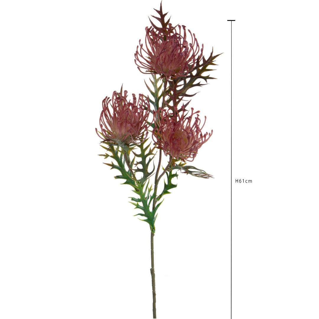 Protea per 3 fiori • 61 cm