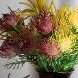Protea per 3 fiori • 61 cm