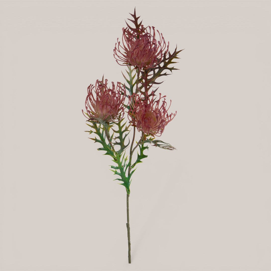 Protea per 3 fiori • 61 cm